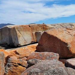 Granitfelsen die durch Flechten in orange gefärbt sind