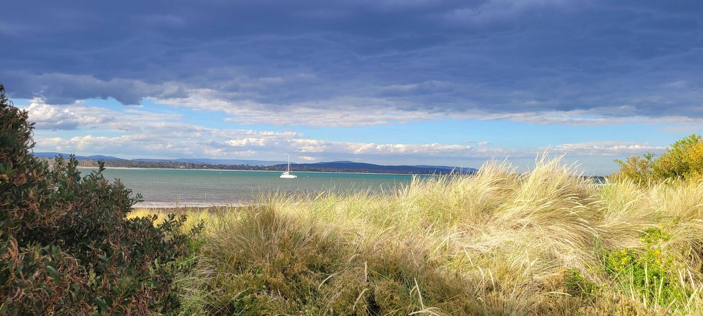 Blick auf die Wineglass Bay
