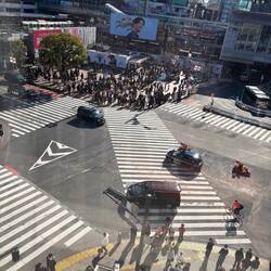 The Shibuya scramble crossing