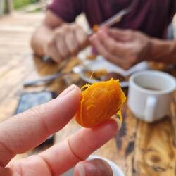 Caferana Frucht
