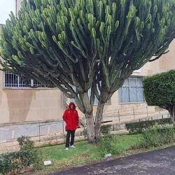 Der Kerl im roten Mantel ist nicht der Weihnachtsmann. Der trägt sonst bunte Hosen, ...