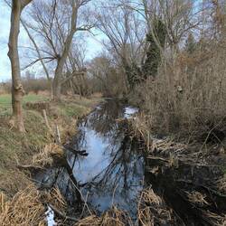 Geisel, kein Eis mehr drauf.