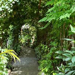 Such an inviting entrance to ?no idea!