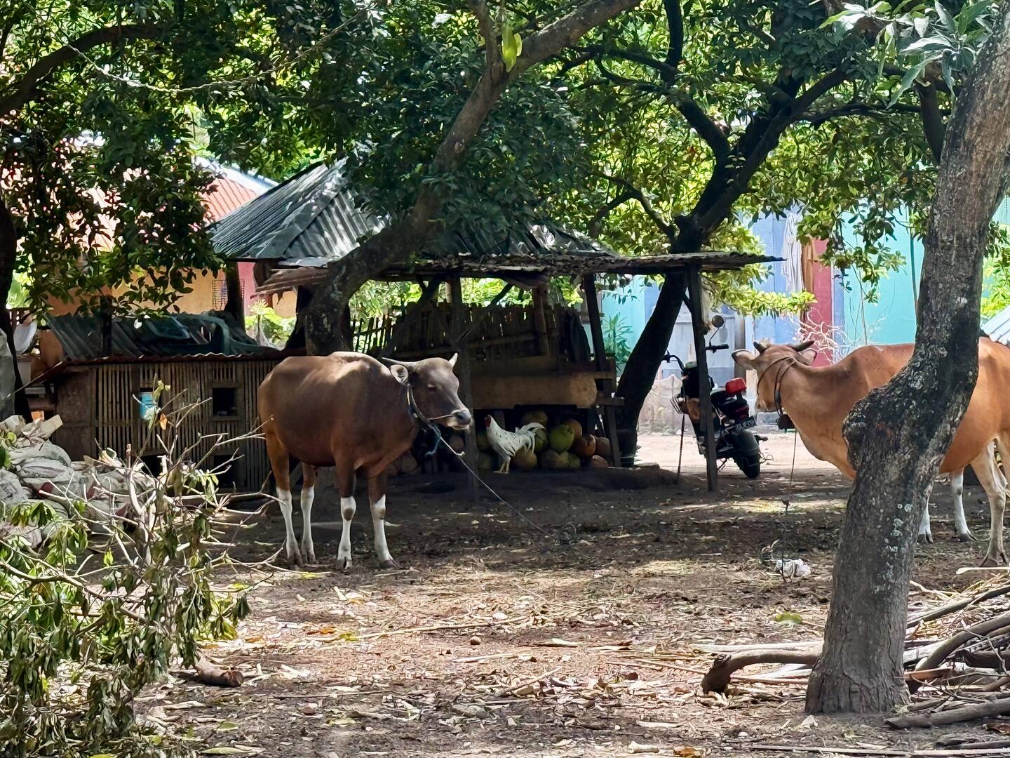 Google maps took us to the laundry - eventually 😆