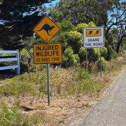 ...typischen Verkehrsschilder 🦘🚸
