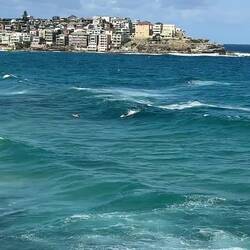 Bondi Beach
