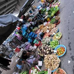 Magnifique choix de fruits et légumes 🍀