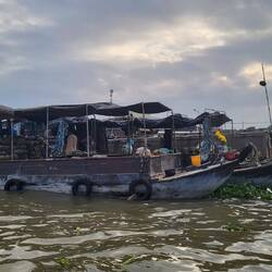 Bateau rempli d'ananas 🍍