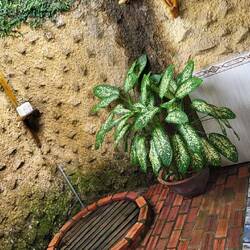 Et notre salle de bain en plein air ❤️