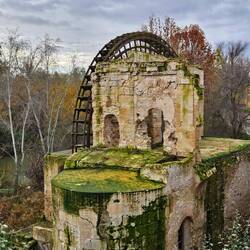 Next to river is a waterwheel. We discovered a colony of cats lives there!