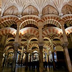 You can see the gold chapels that line the walls