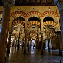 Football fields of columns!