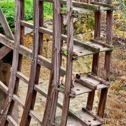 One of several cats we saw enjoying their domain