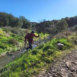 Wolli kommt gut zurecht.