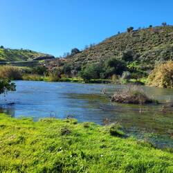 Hier soll die Brücke sein. 🙄