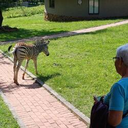 zurück in der Lodge