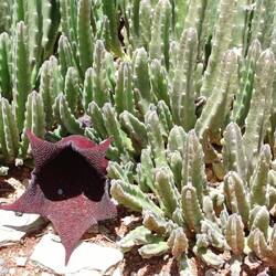 gefunden im Garten des Monuments