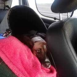 Fanny ist nur mäßig begeistert, aber sie ist tapfer