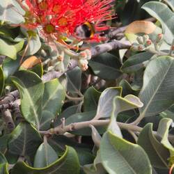 Es war sehr schön. Wir haben es nicht bereut, länger zu bleiben. 🙋‍♂️🐕‍🦺🙋‍♀️