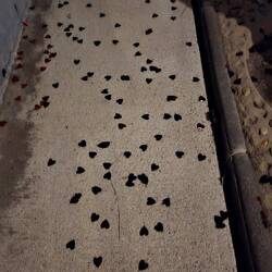 ... ❤️ ❤️ ❤️ ❤️ ❤️