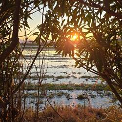 Sonnenuntergang 🌞