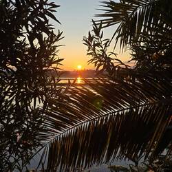 ... immer und immer wieder 💕