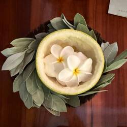 Coconut + ylang-ylang+ fresh grapefruit + creole goose berries.
