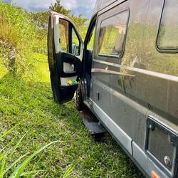 Wiese kann echt doof sein