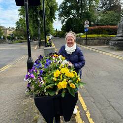 So many flowers everywhere.