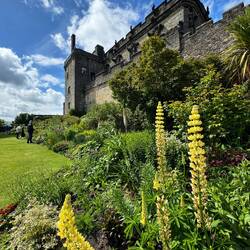 Beautiful gardens at the castle.