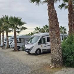 ... Allee Allee eine Straße mit vielen Palmen 🌴 🌴 🌴 🌴 🌴 ja das ist eine Allee 🎶🎶🎶