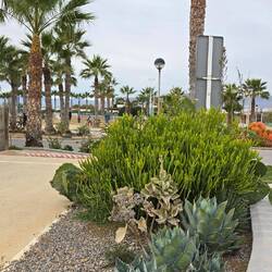 ... sehr schön, gefällt mir 🌞