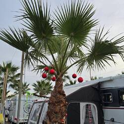 ... weihnachtlich geschmückt 😄😄😄