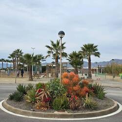 Blumen 🌺🌺🌺 am Eingang