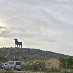 ... das kommt mir Spanisch vor 🦬