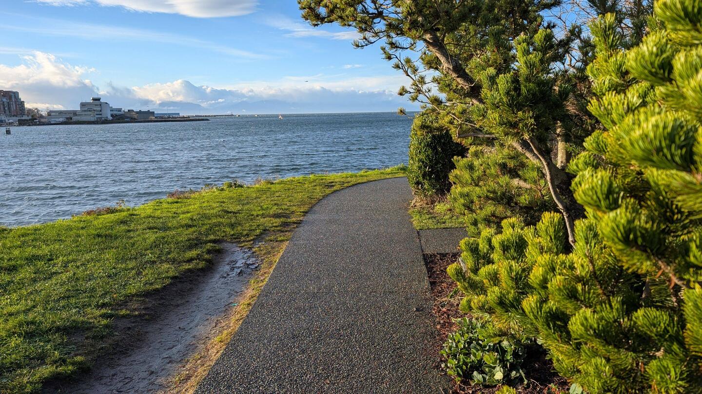 Beautiful, blustery morning in Victoria!