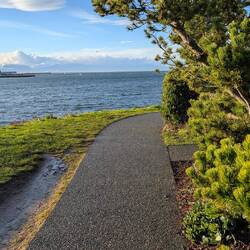 Beautiful, blustery morning in Victoria!