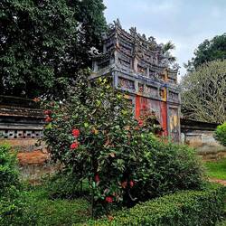 A gate among flowers