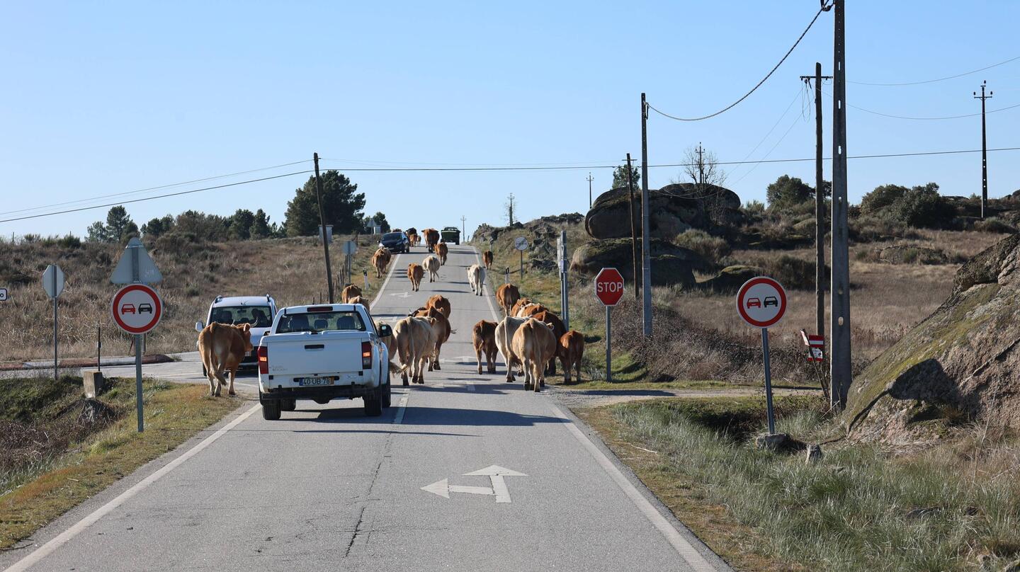Ja, überholen verboten !