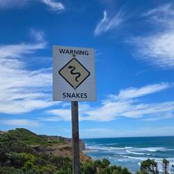 Nope. Didn't see any.