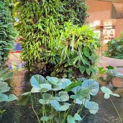 Abflughalle Singapore