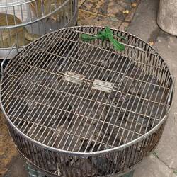 Einmal Kröte bitte 🥴