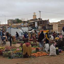 Gemüse frisch vom Bauern