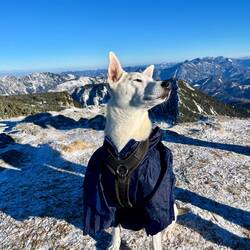 Wir genießen allesamt die angenehme Sonne, die..