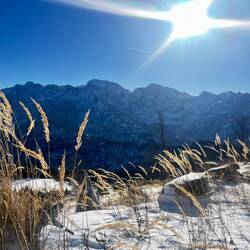 Ein steter Begleiter ist zudem der Blick auf das Tote Gebirge (Prielgruppe).
