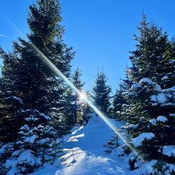 Die Sonne blitzt nach etwa anderthalb Stunden zum ersten Mal hervor..