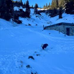 ..Johnny weiß einfach wie er sich aufwärmen kann!