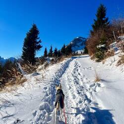 ..und scheint uns ins Gesicht – sie bleibt uns ab hier auch die meiste Zeit erhalten.