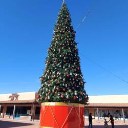Wieder mal Weihnachtsbaum bei 25 Grad.
