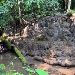 Rundgang auf einer kleinen Insel